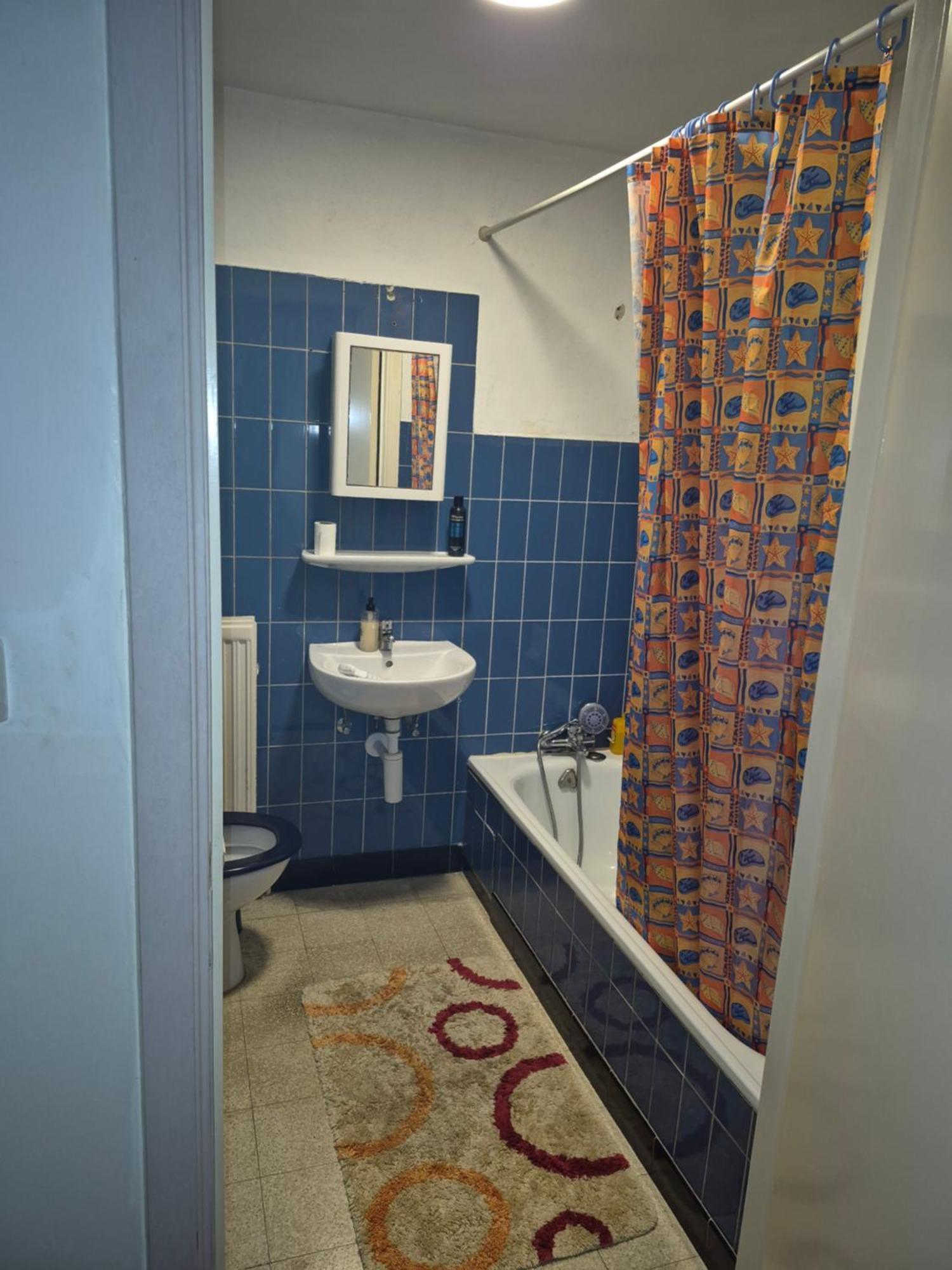 Gent'S Accomodations For Short And Middle Long Stay Gante Exterior foto